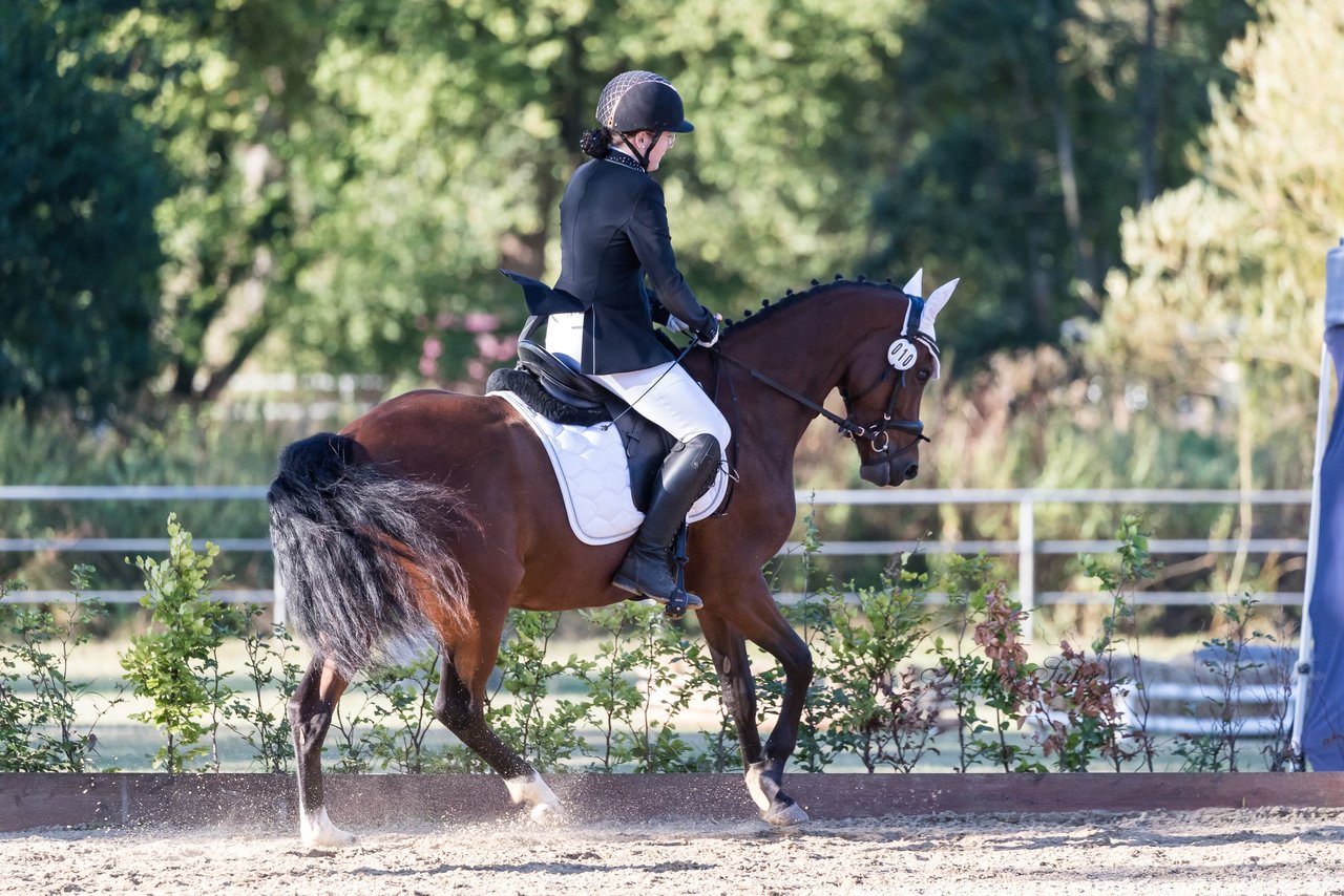 Bild 104 - Pony Akademie Turnier